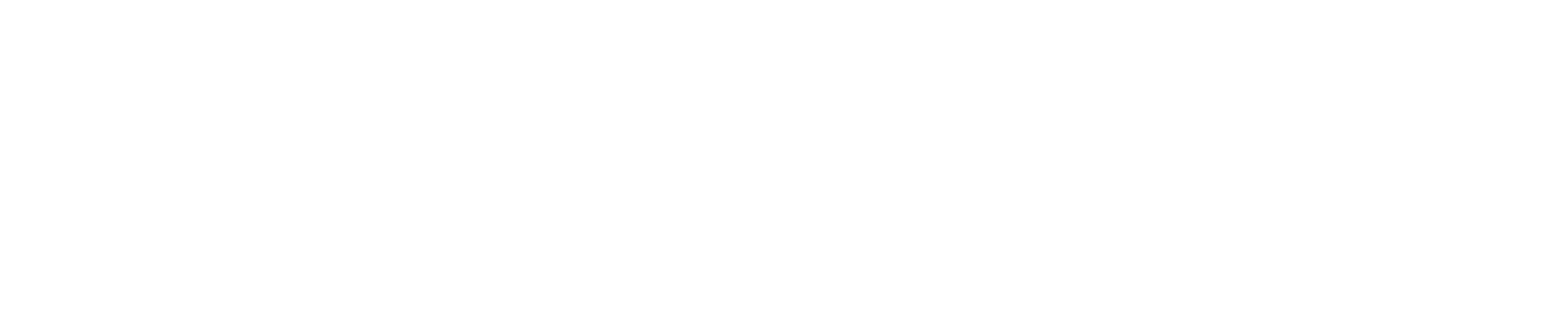 Lily Allen Store US